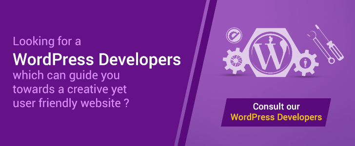 Looking for a WordPress Developer which can guide you towards a creative yet user friendly website?