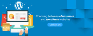 eCommerce and WorPress websites